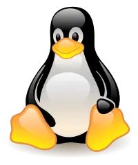 Linux cartoon penguin mascot, black and white with yellow feet.